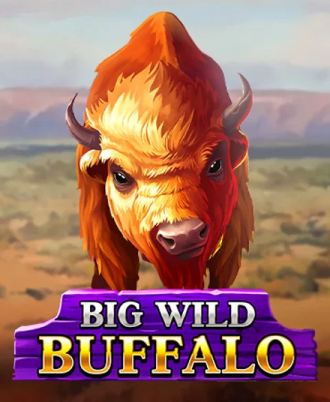 Igrajte Big Wild Buffalo u Zoom E kasinu